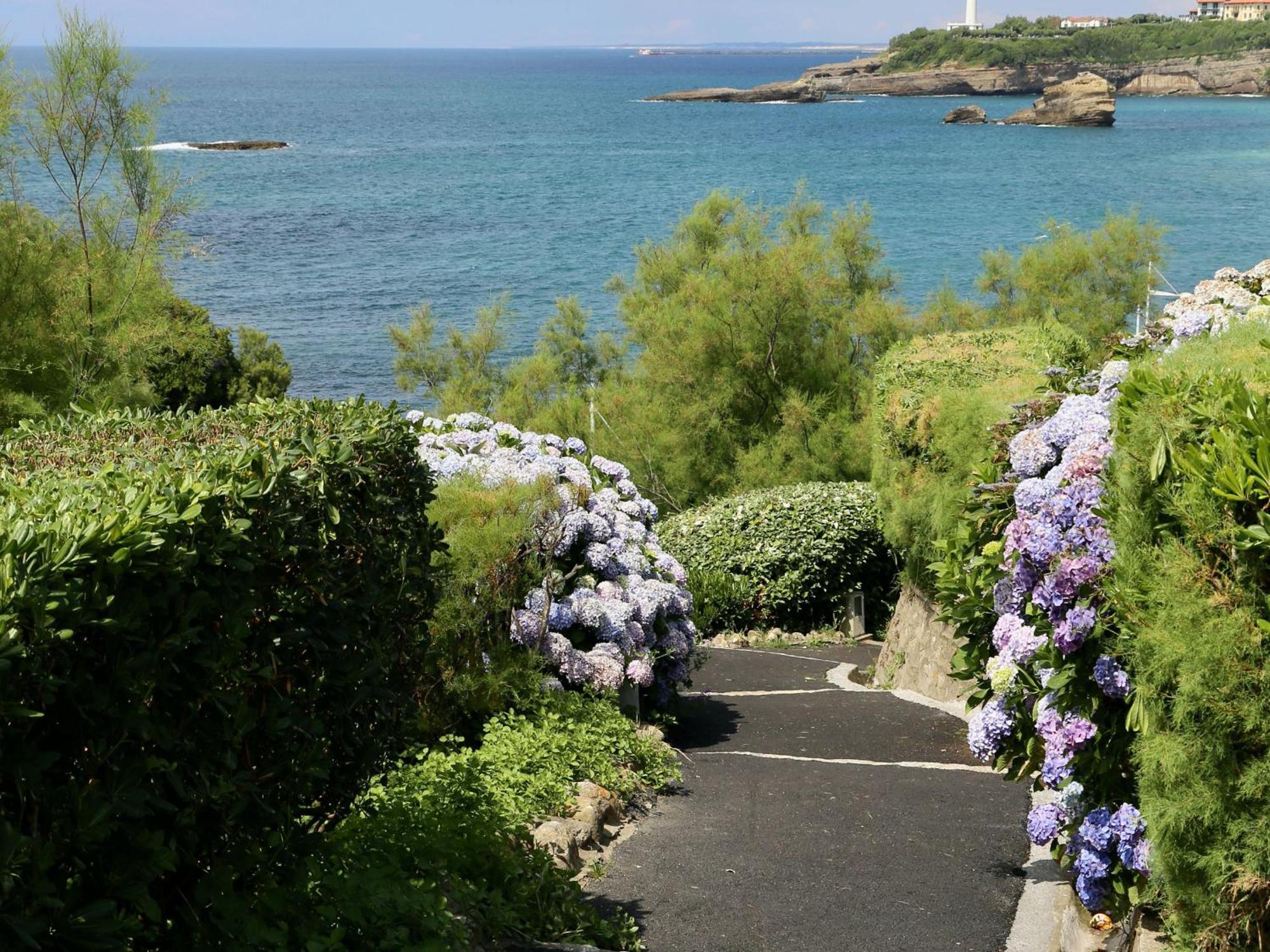 Apartment Spacieux Et Renove Au Coeur De Biarritz, A Deux Pas De La Et Des Commerces - Fr-1-239-802 Biarritz